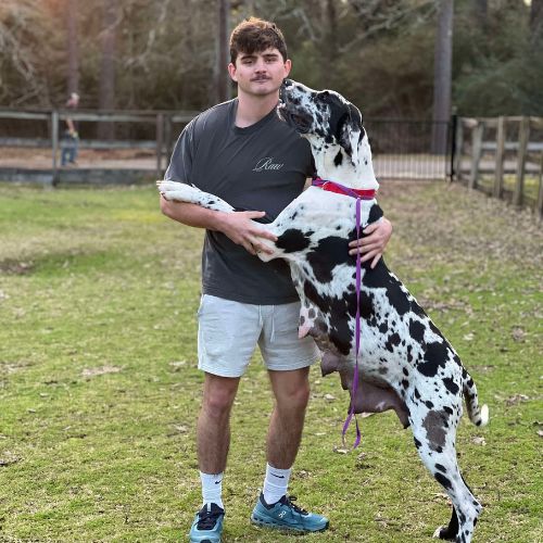 Justin - AZ Mobile Pet Vaccines in the Greater Houston Area