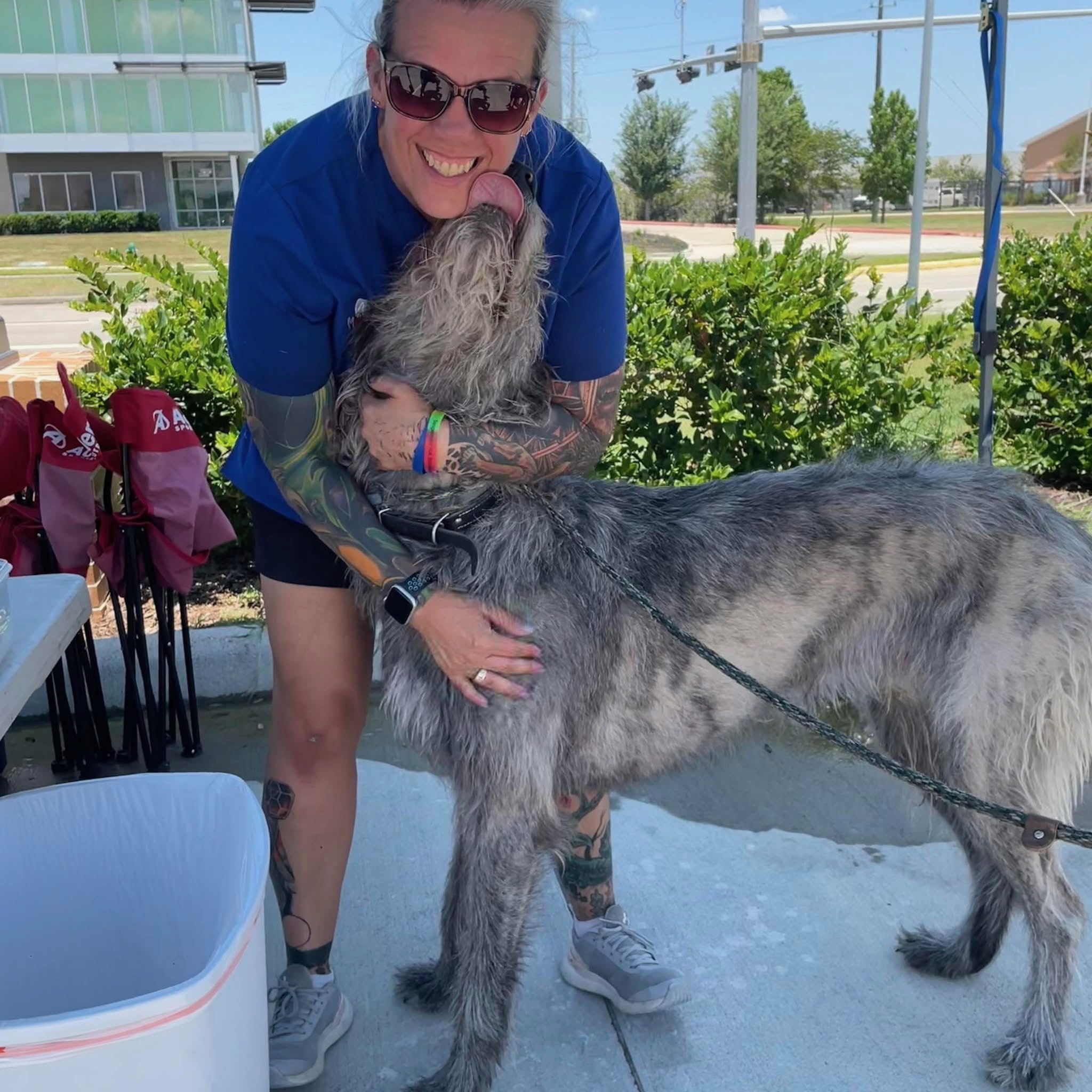 Christi - Site Manager at AZ Mobile Pet Vaccines in the Greater Houston Area